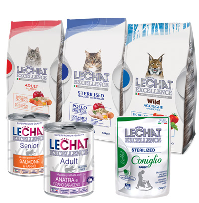 Lecahat excellence gatto
