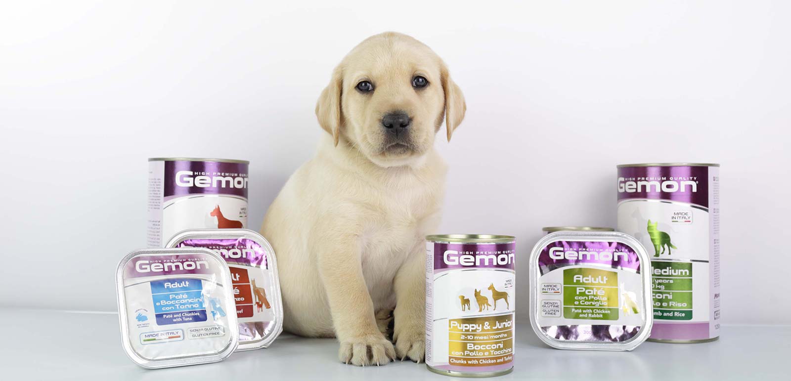 Alimenti Monge, Alimenti per gatti, Alimenti per cani, Come nutrire un