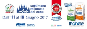 settimana_milanese_cane