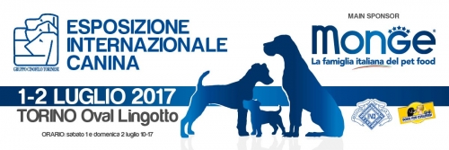 espo_torino