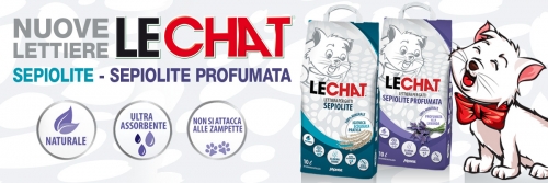 news lettiera ok ita