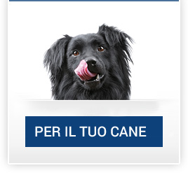 catalogo_cane