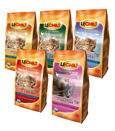 Lechat gatto