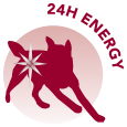 24H energy