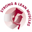 Strong & lean muscles