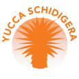 Yucca schidigera,riduce l'odore delle feci