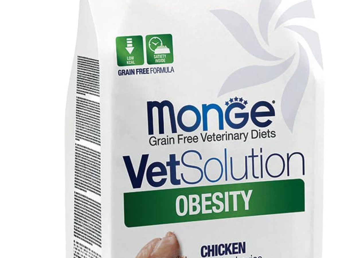 VETSolution_OBESITY_gatto_15-