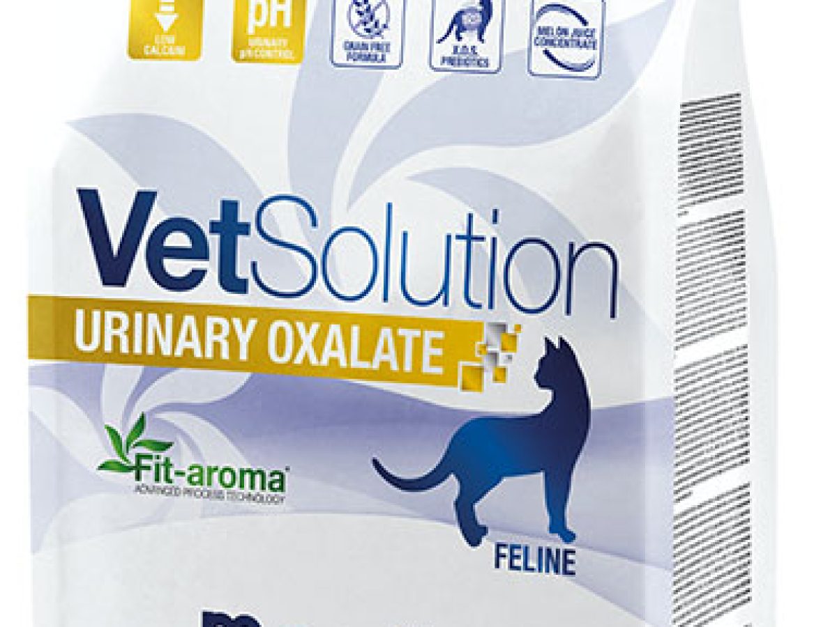Monge VetSolution 猫用 尿路結石サポート 2kg & 2kg MONGE ベッツソリューション 猫用腎臓サポート 2kg 食事療法食