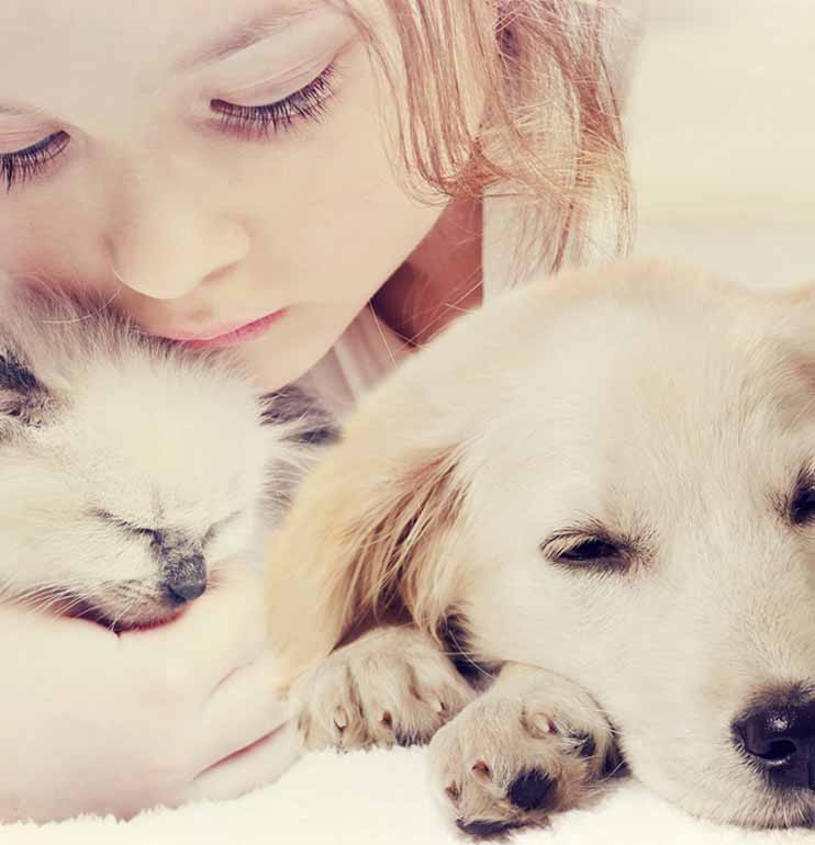 Cibo per animali