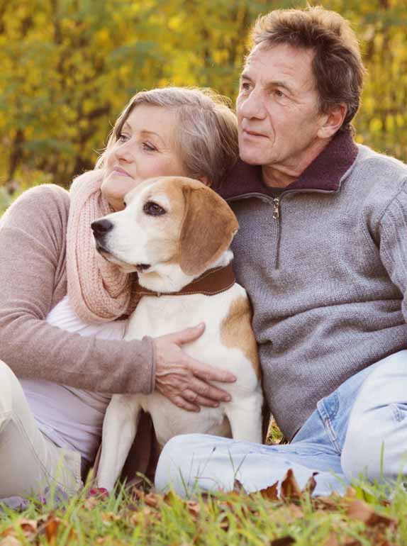 Cibo per cane