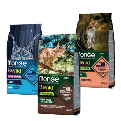 Bwild alimento gatto