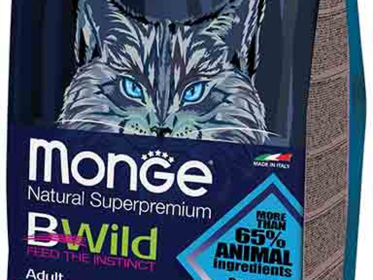 Adult with Anchovies - Monge.it