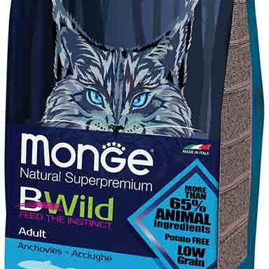 Adult with Anchovies - Monge.it