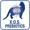 XOS xylo oligosaccharides - Natural prebiotics healthy intestine