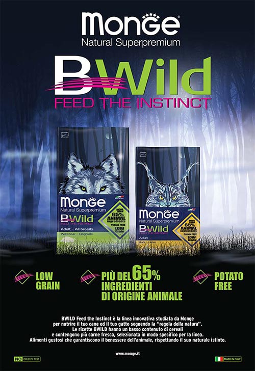 BWild