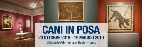 cani_in_posa_sito_19MAGGIO