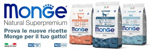 news-sito-trota-salmone2