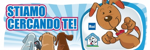 stiamo cercando te x sito