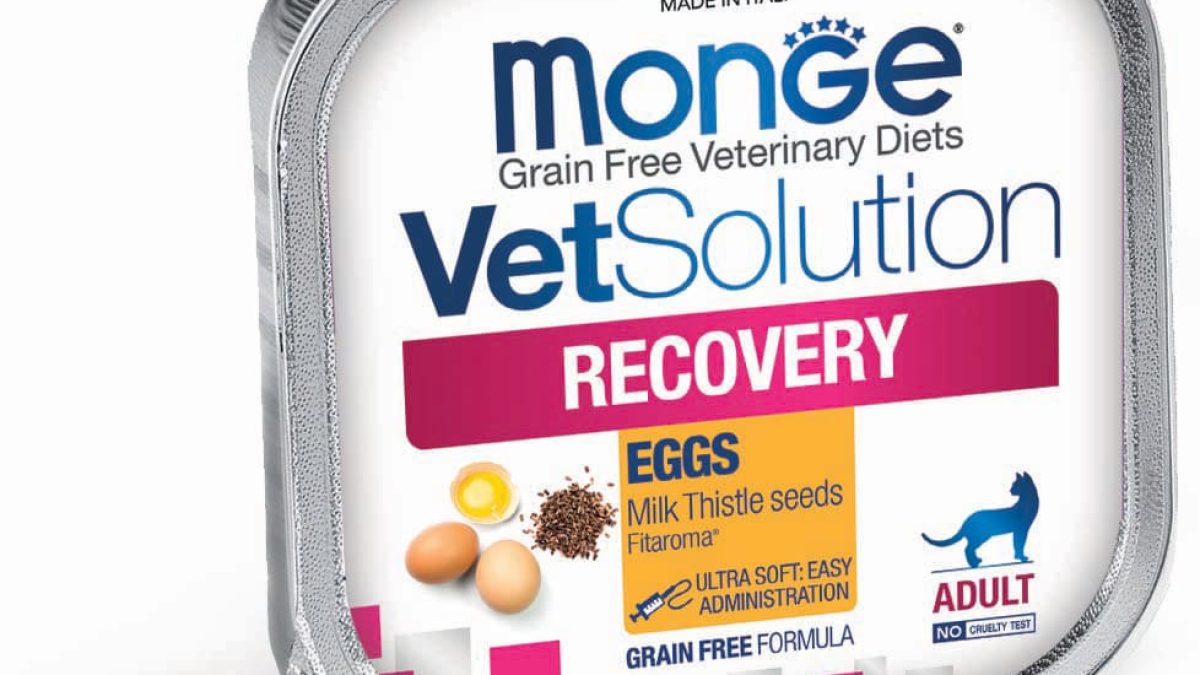 Monge VetSolution Recovery Feline - Monge.it