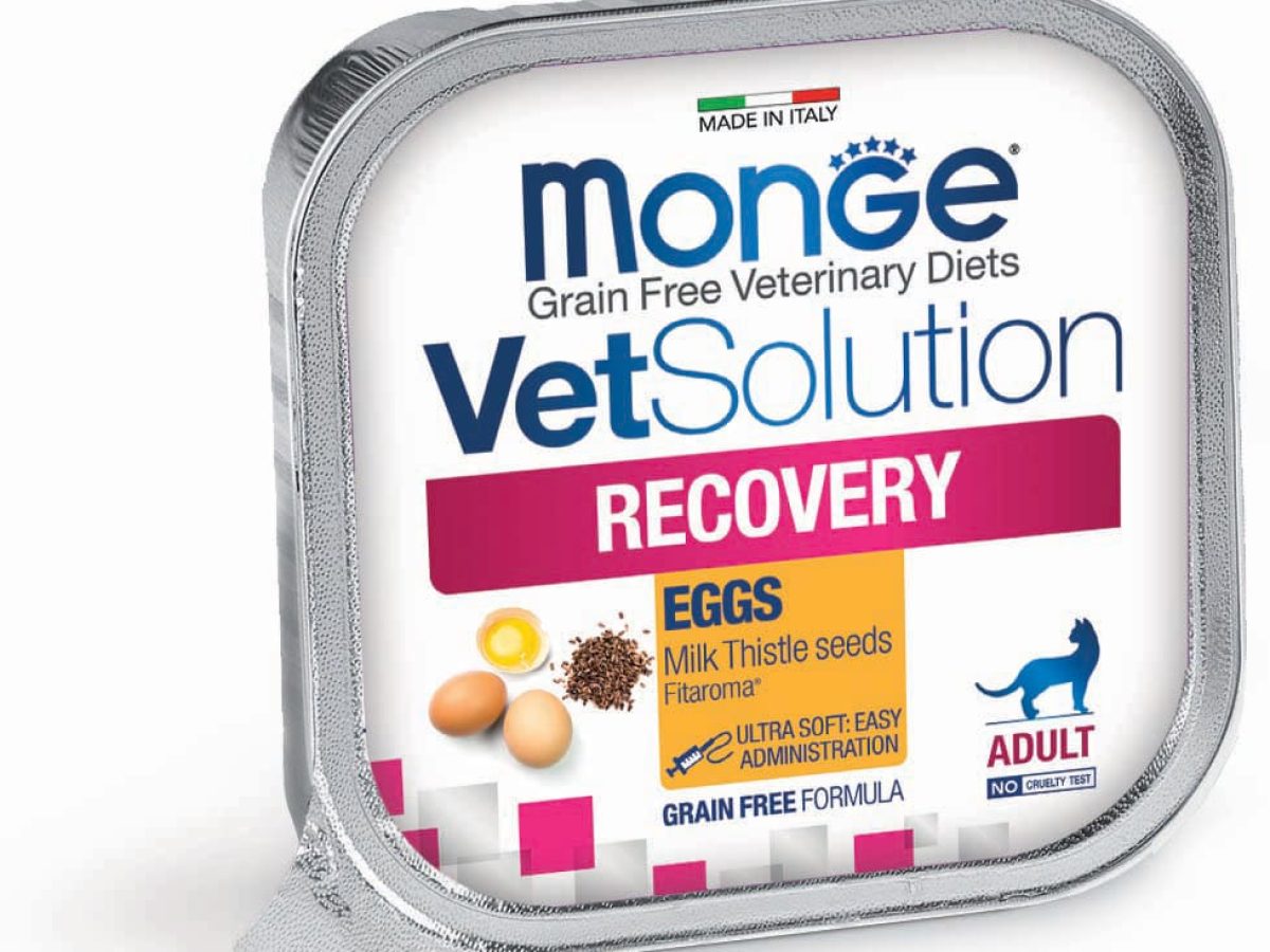 Monge VetSolution Recovery Feline - Monge.it