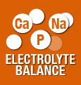 Equilibrio de electrolitos para el apoyo de la función renal