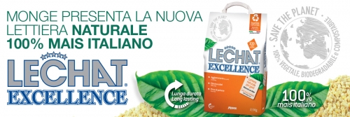 news lettiera exc2