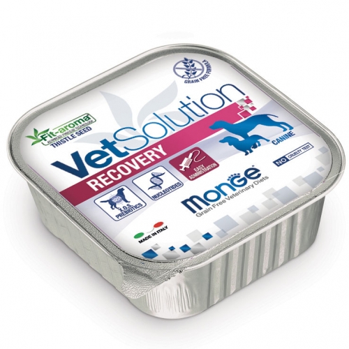 vetsolution_cane_umido_recovery
