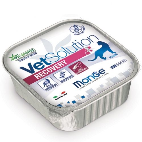 vetsolution_gatto_umido_recovery