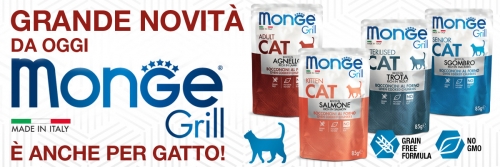 news grill cat2