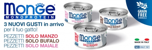 news_monge_pezzetti solo