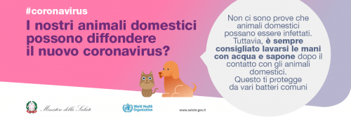 coronavirus_19