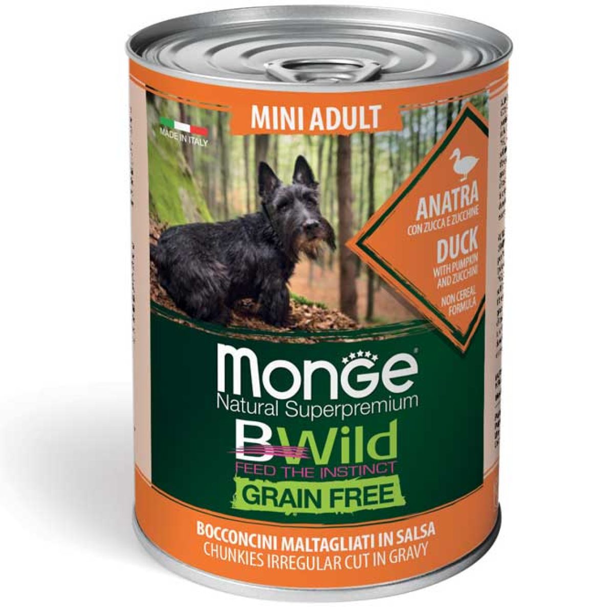 monge_cane_umido_bwild_bocconi