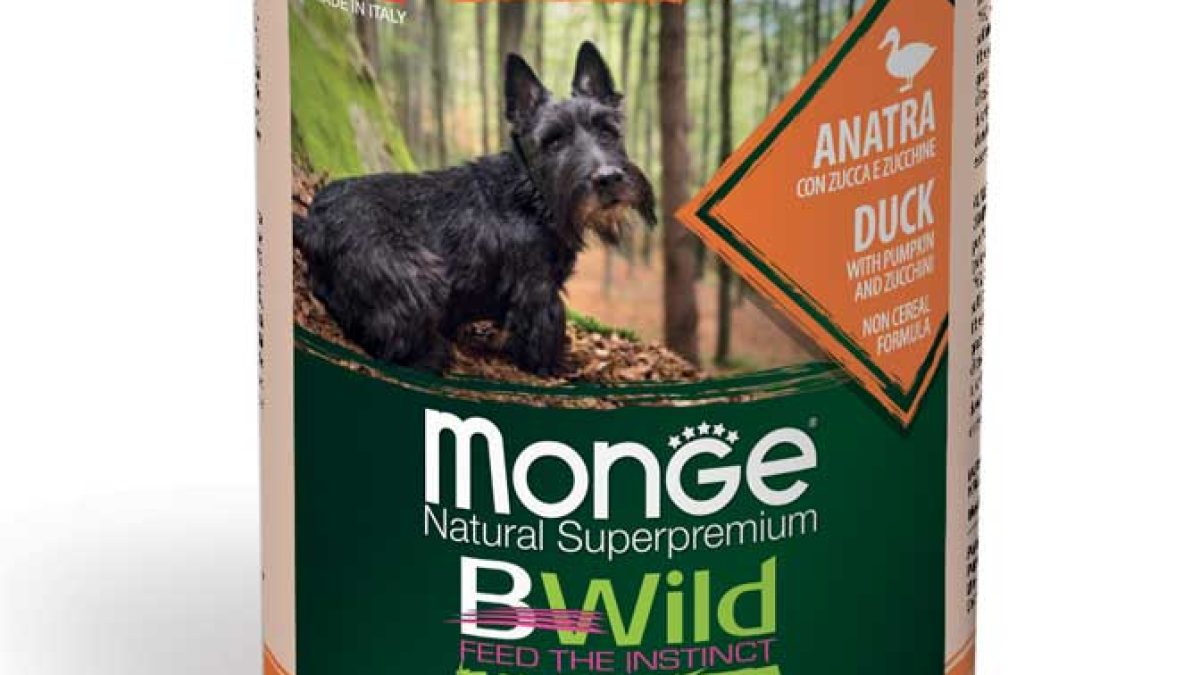 monge_cane_umido_bwild_bocconi