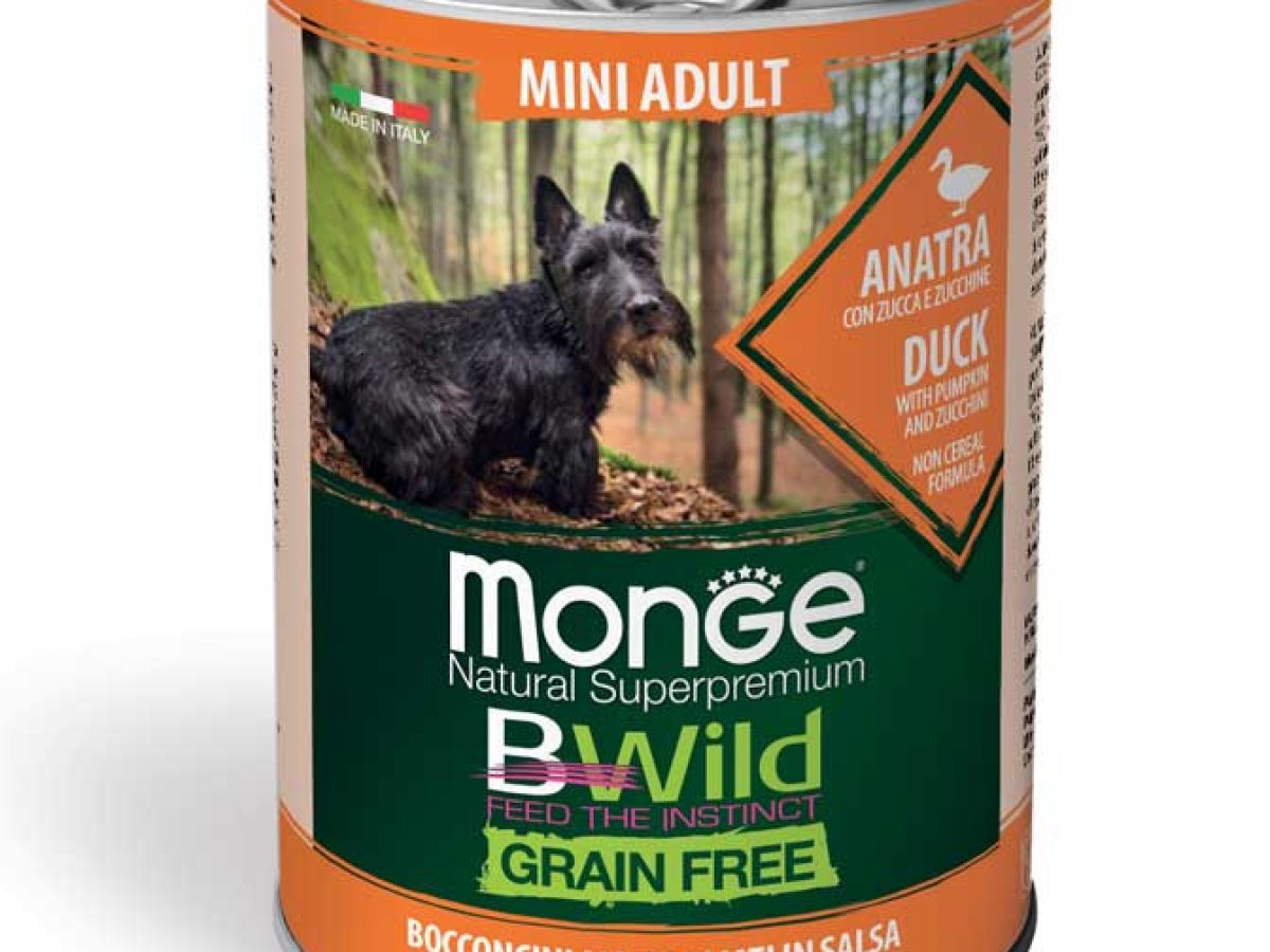 monge_cane_umido_bwild_bocconi