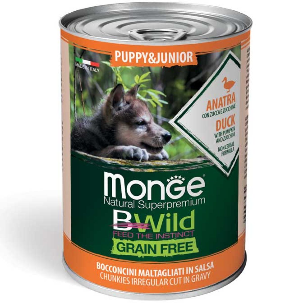 monge_cane_umido_bwild_bocconi