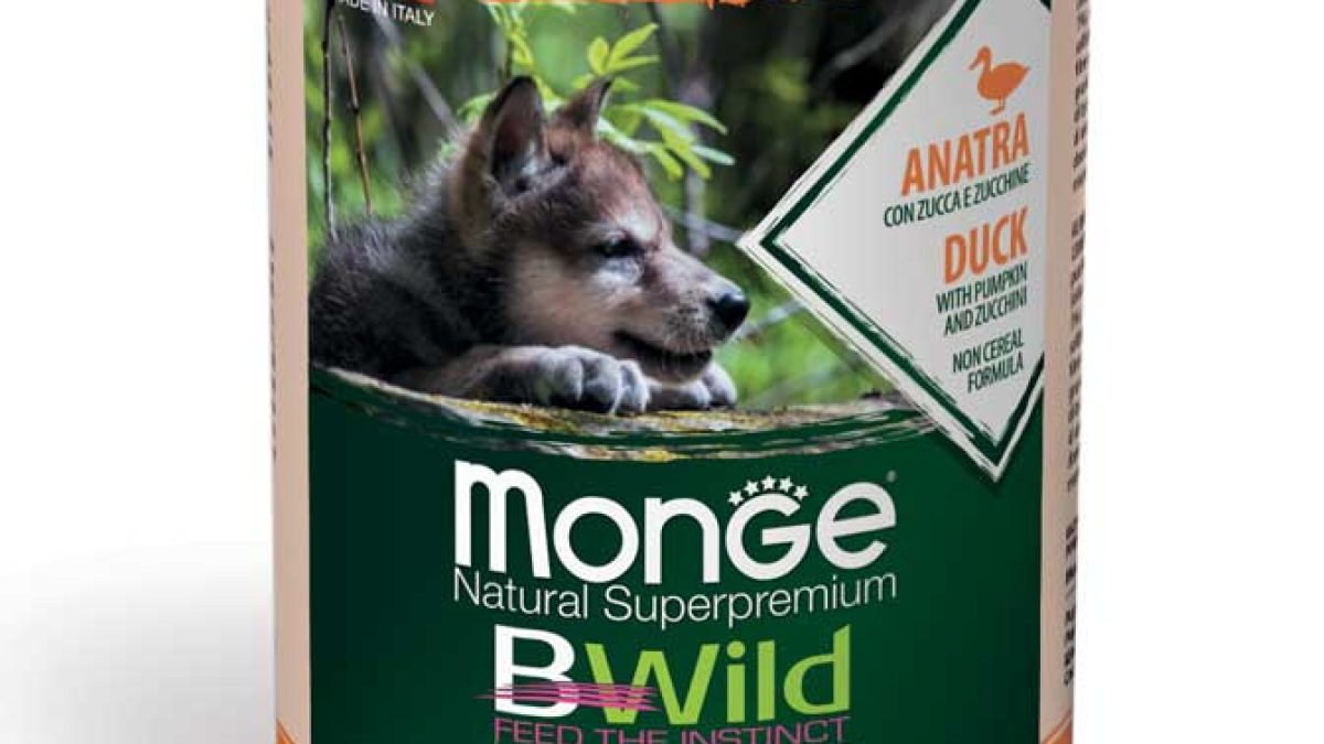 Bwild グレインフリー ツナwithエンドウ豆 2kg×2+400g Monge B Wild