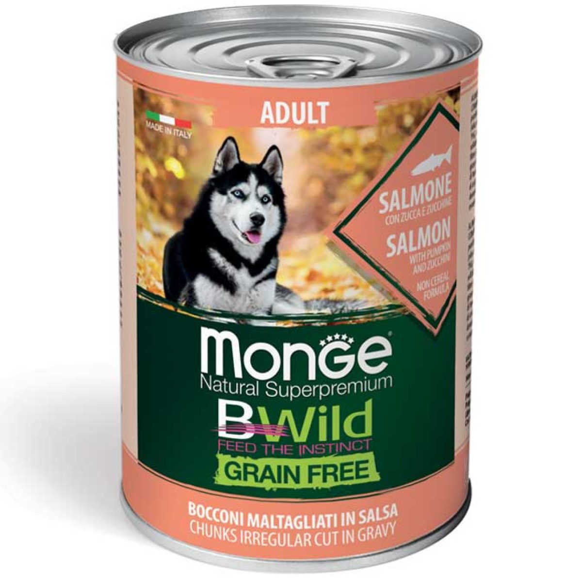 monge_cane_umido_bwild_bocconi