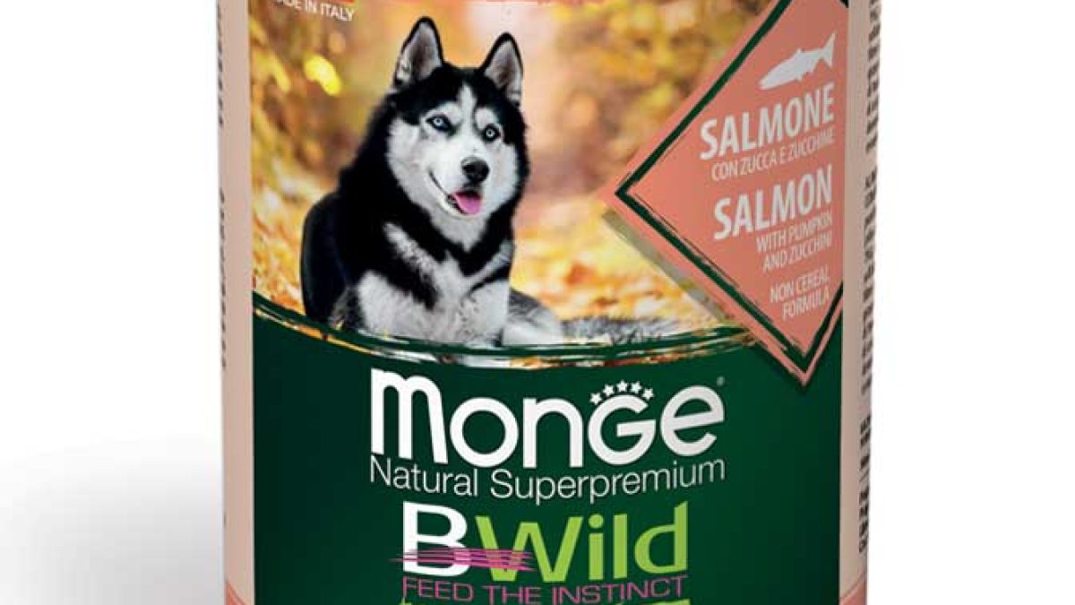monge_cane_umido_bwild_bocconi