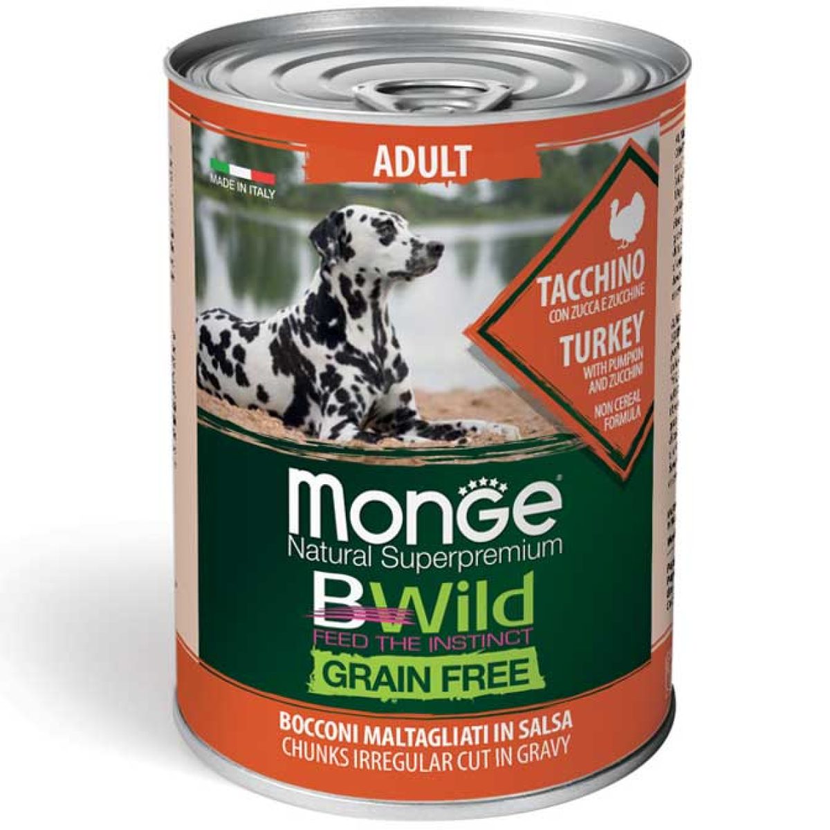 monge_cane_umido_bwild_bocconi