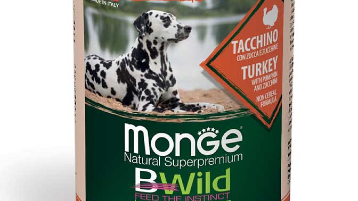 monge_cane_umido_bwild_bocconi