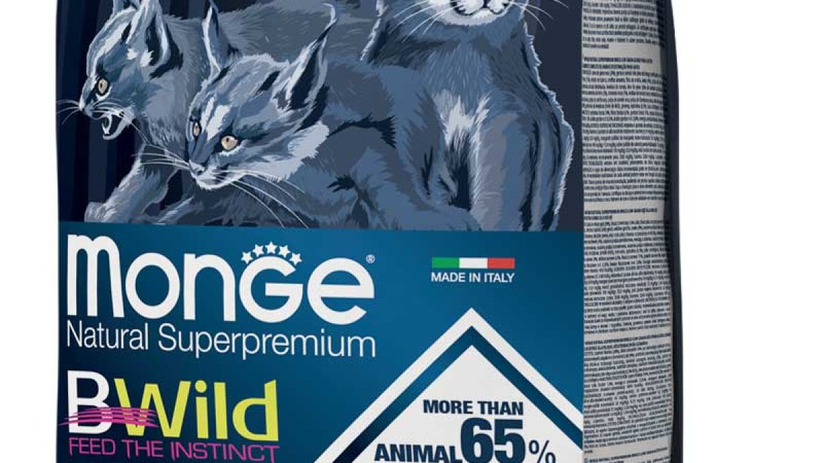 monge_gatto_secco_bwild_kitten