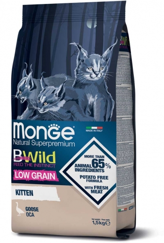monge_gatto_secco_bwild_kitten_oca