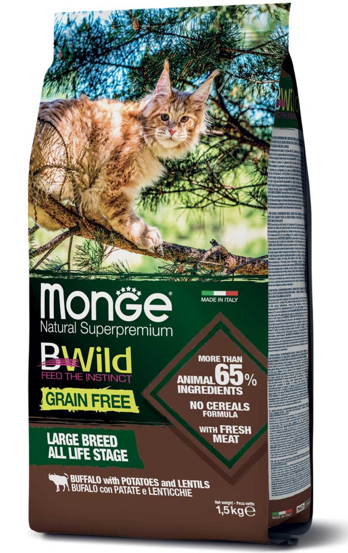 monge_gatto_secco_bwild_large_