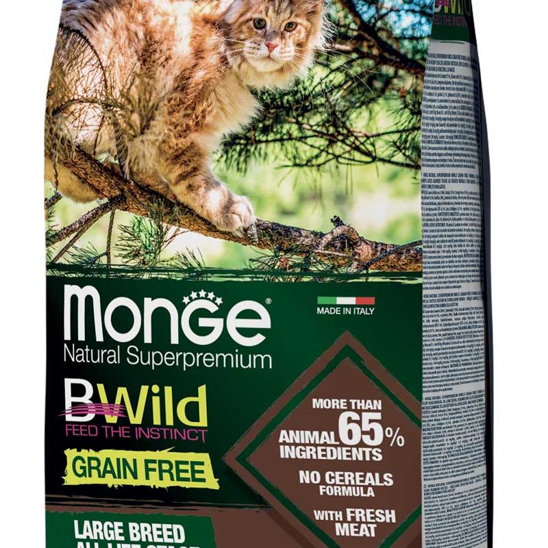 monge_gatto_secco_bwild_large_