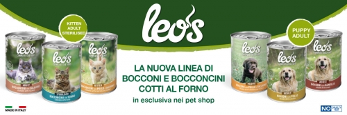 news_leo's