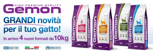 news-gemon-gatto-10kg