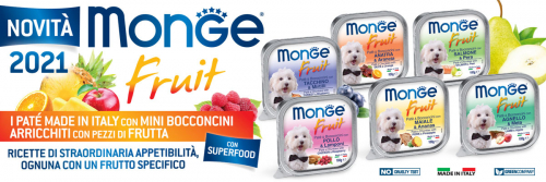 monge-fruit-immagine