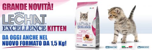 news-EXC-kitten-nuovo-formato2