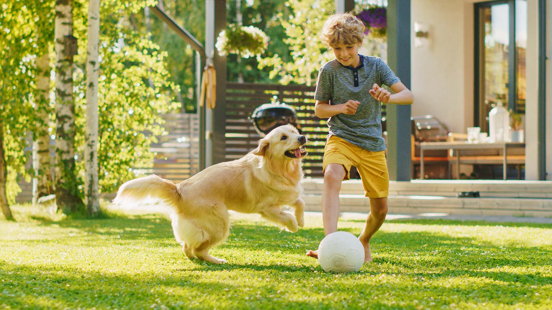 cane sportivo
