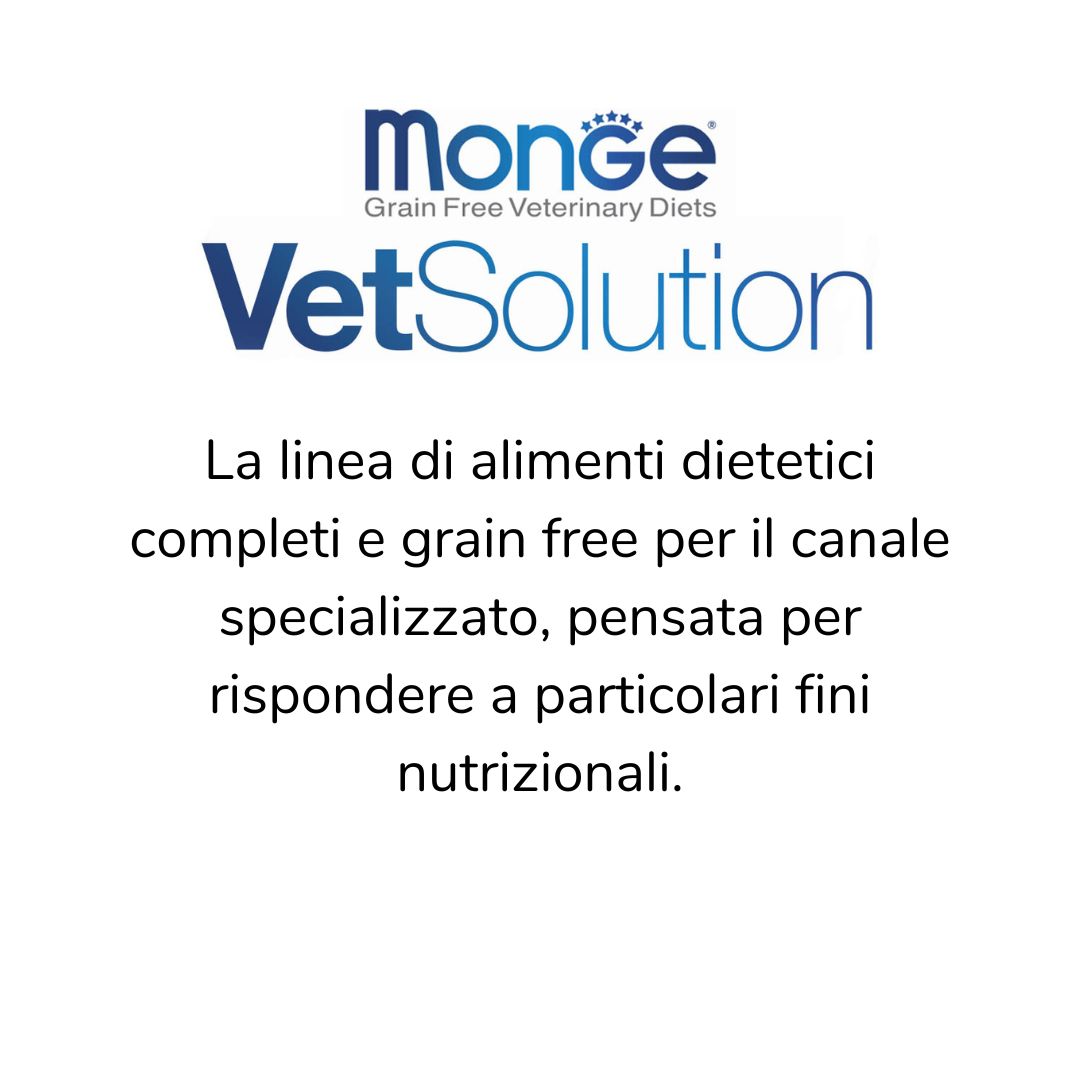 03.VetSolution